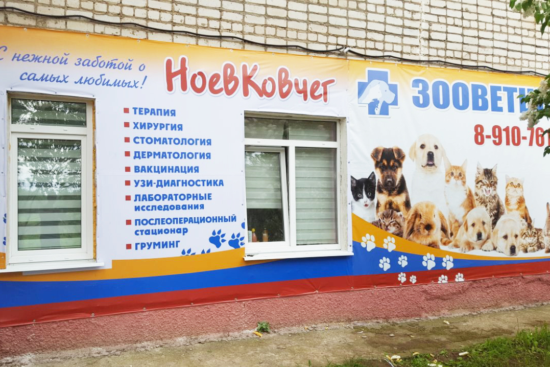 Описание изображения
